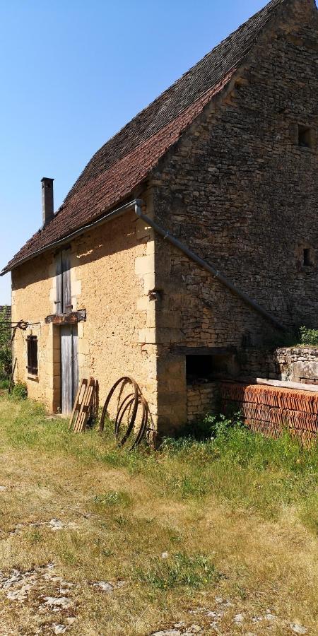 Gite Du Bouyssou Carsac-Aillac Exterior foto